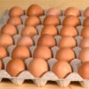 Vajcia 30 ks